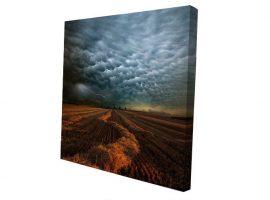 Predtiahnuté plátno